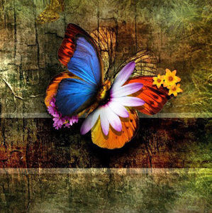 Meet your Posher, Faha